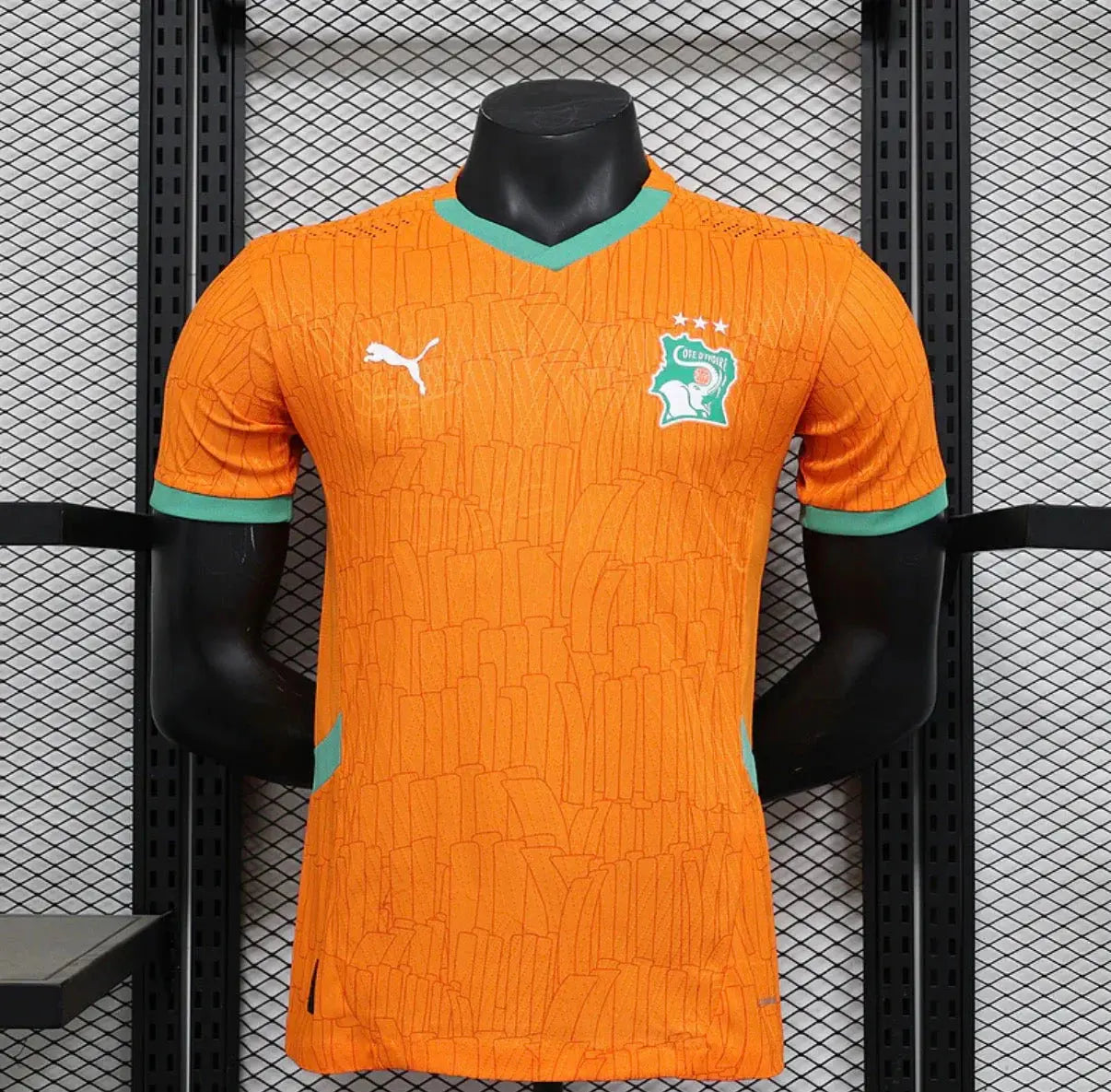 MAILLOT CÔTE D'IVOIRE DOMICILE 2025