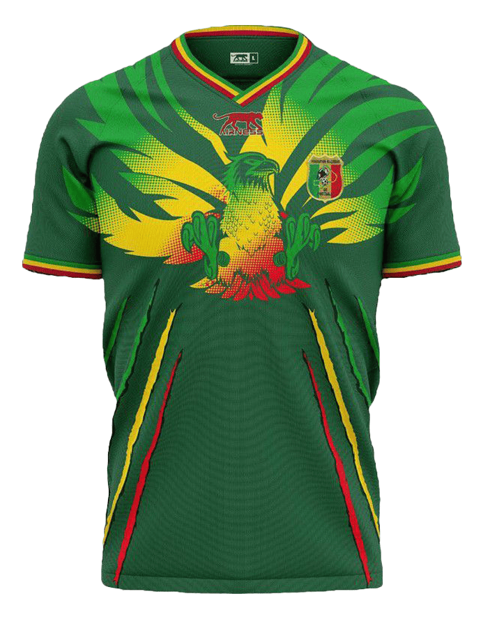 MAILLOT MALI EXTERIEUR 2024